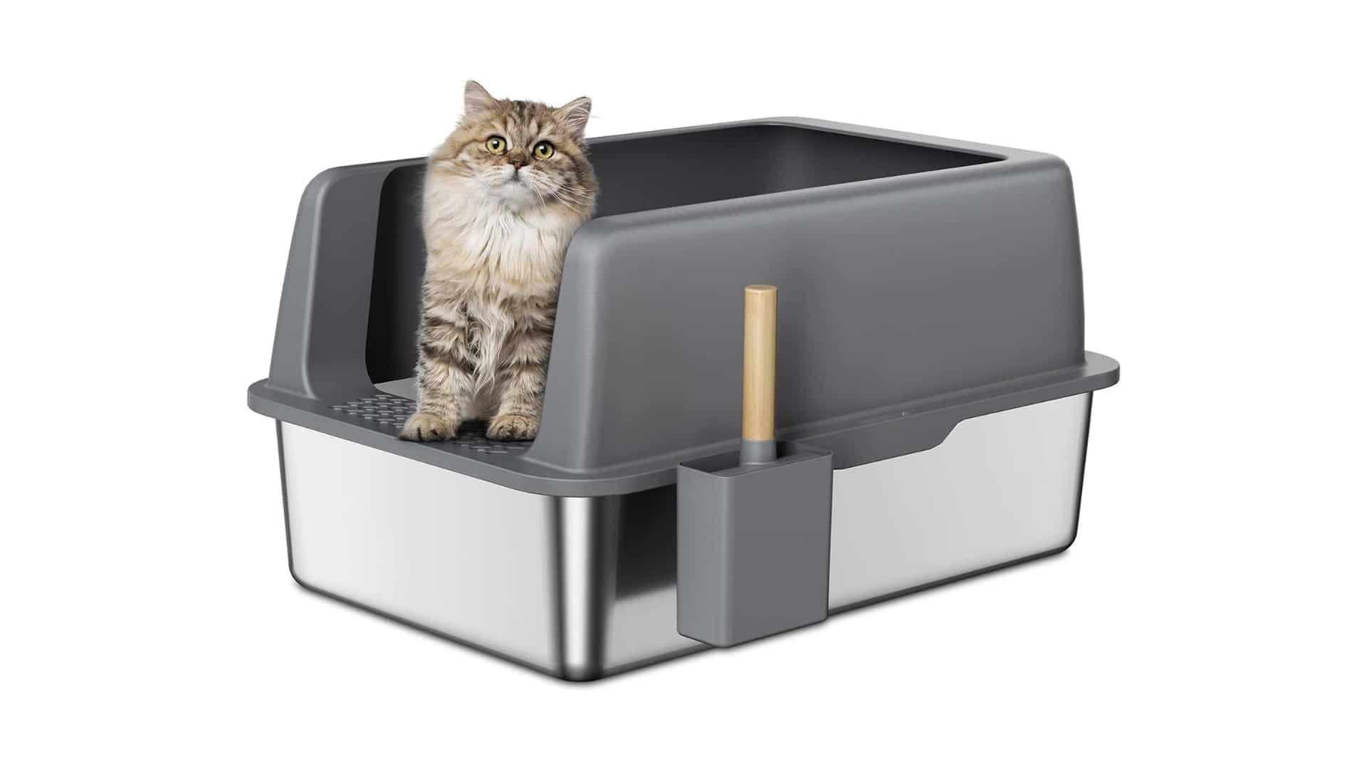 Zarler Edelstahl Katzenklo 2024: Saubere & Geruchsfreie Katzentoilette